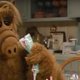 Illustration for article titled No need to hide your cats, that ALF reboot is dead